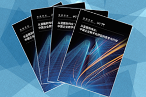 《从蓝图到伟业：中国企业数字化转型的思考与行动》
