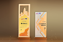 瓦力棋牌(中国)国际一举斩获“2024年度中国区最佳雇主”等多项大奖